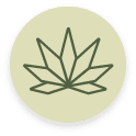 Native Sun Cannabis Categories Flower