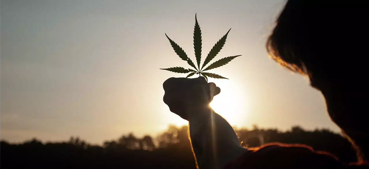 Native Sun Cannabis Dispensary