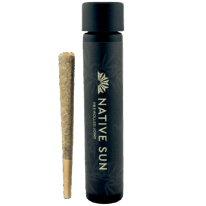 illikoi 1 g preroll and case