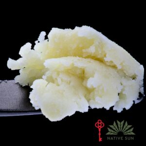 Native Sun Mimosa Evo Live Hash Rosin