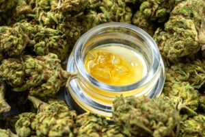 Cannabis concentrate surrounded by flower