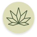 Native Sun Cannabis Categories Flower